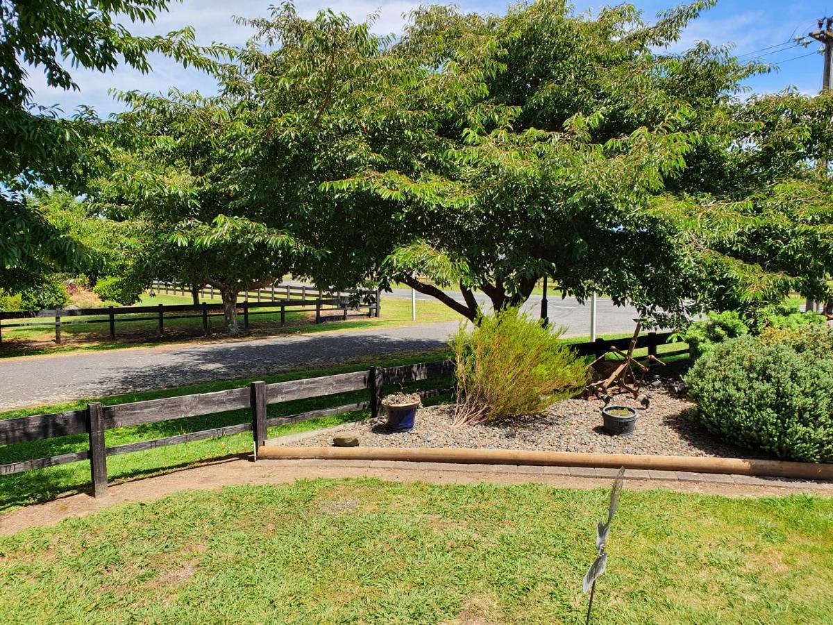 Denchys B&B Matamata Luaran gambar